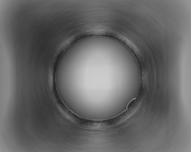 X0000112840493200908211002
