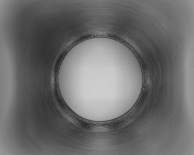 X0000112840494200908211002