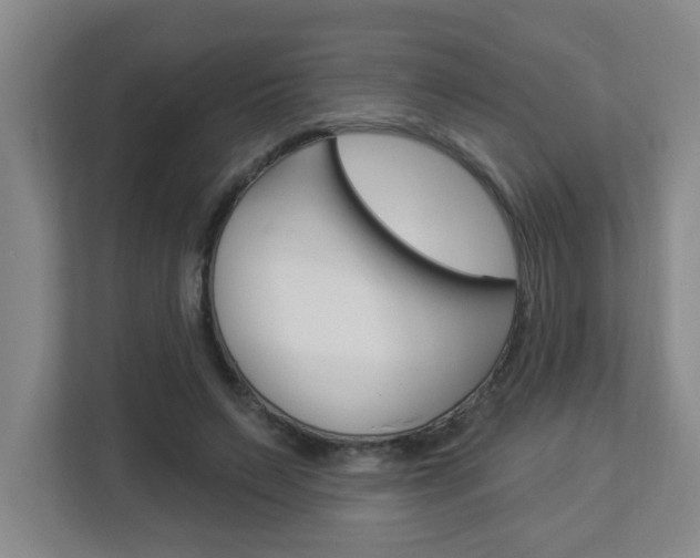 X0000112840495200908211002