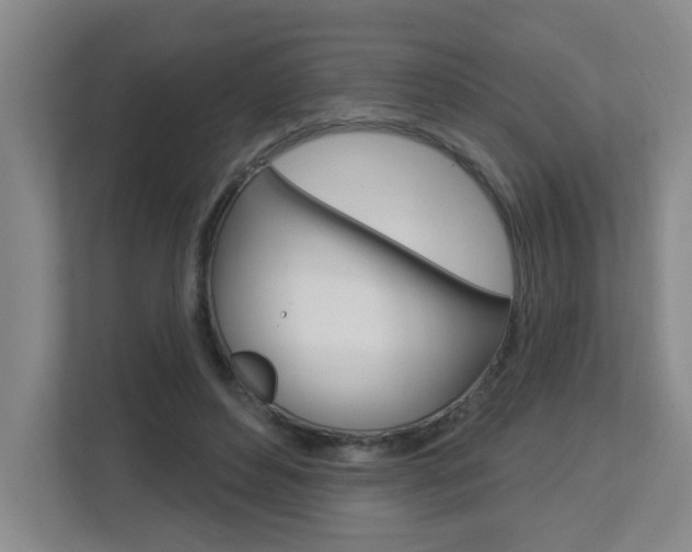 X0000112840496200908211002