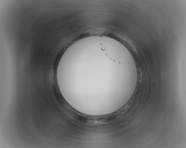 X0000112840498200908211002