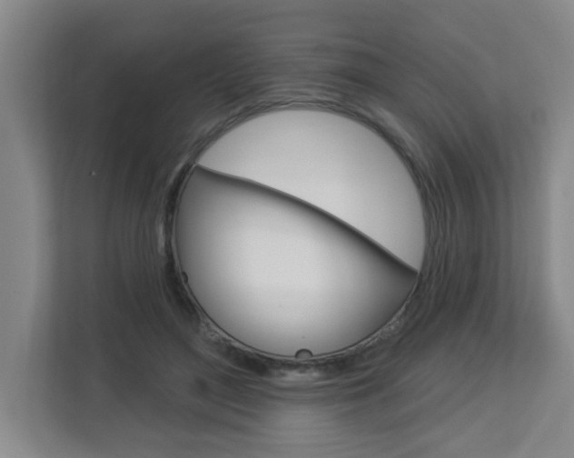 X0000112840500200908211001