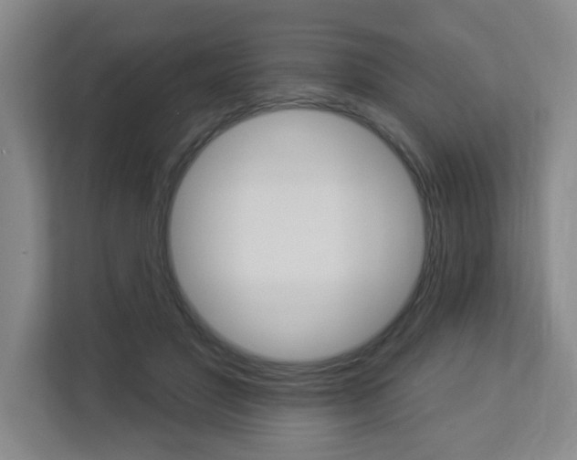 X0000112840501200908211001