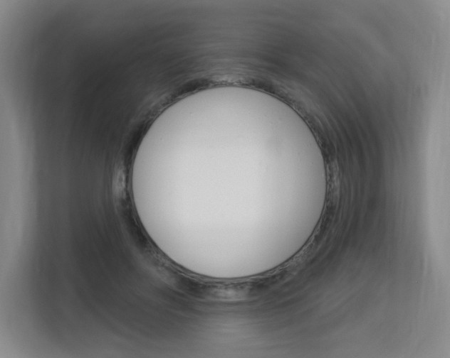 X0000112840502200908211001