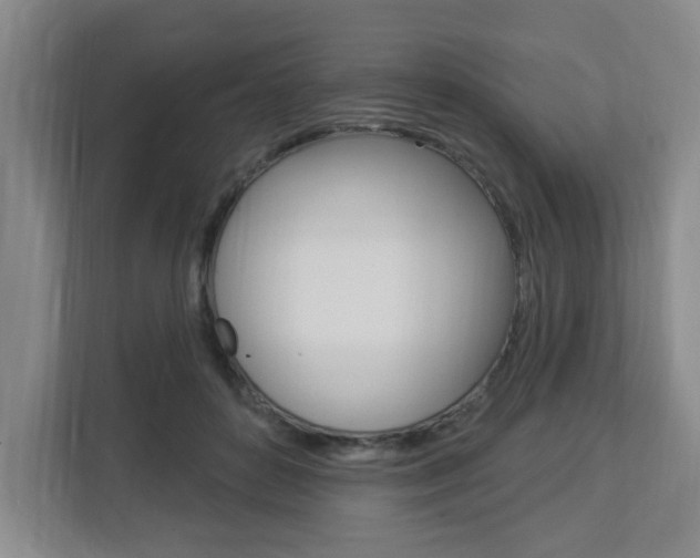 X0000112840504200908211001