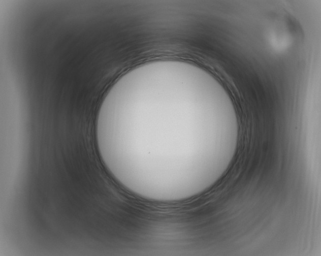 X0000112840505200908211001