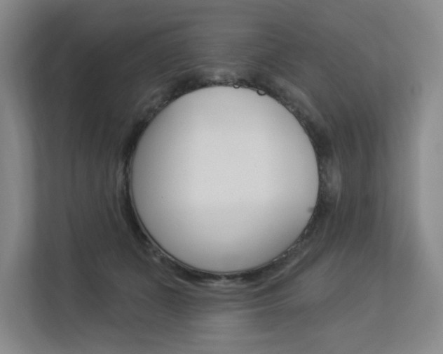 X0000112840511200908211001