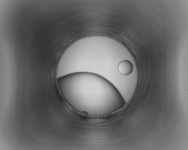 X0000112840512200908211001