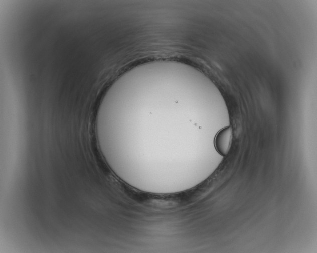 X0000112840515200908211001