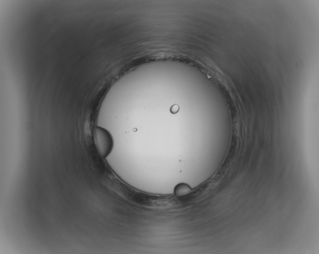 X0000112840516200908211001