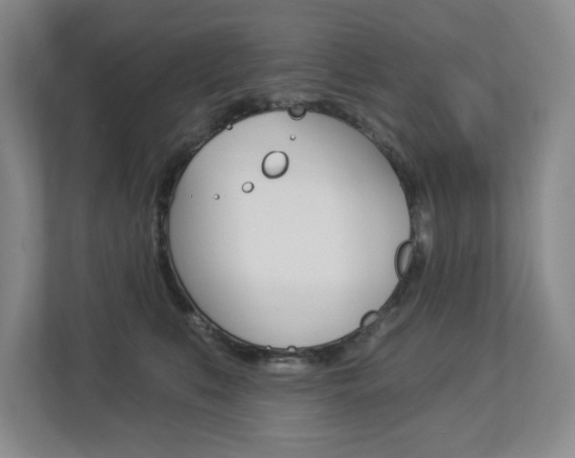 X0000112840519200908211001