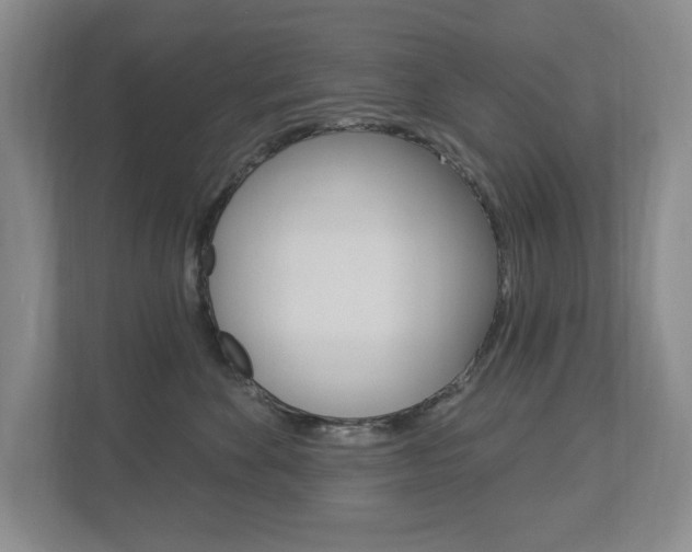 X0000112840524200908211001