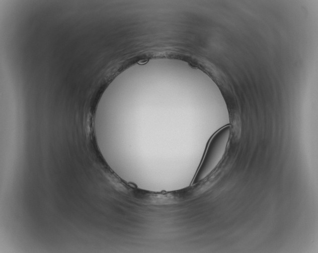 X0000112840525200908211001
