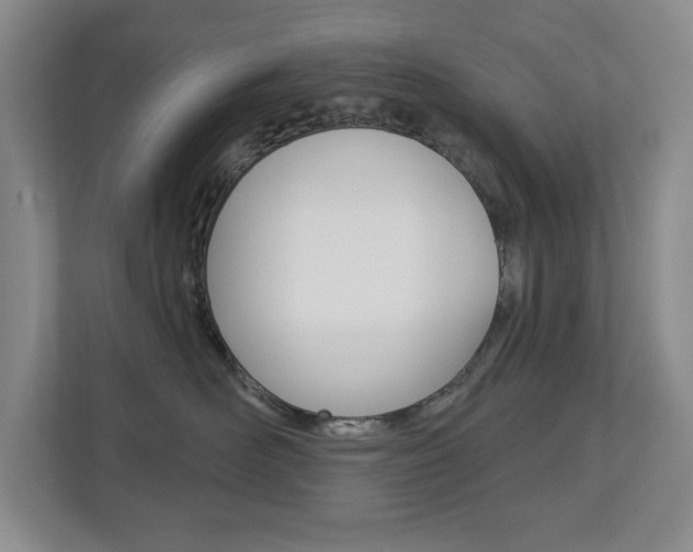 X0000112840526200908211001