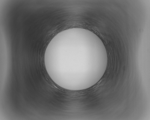 X0000112840528200908211001