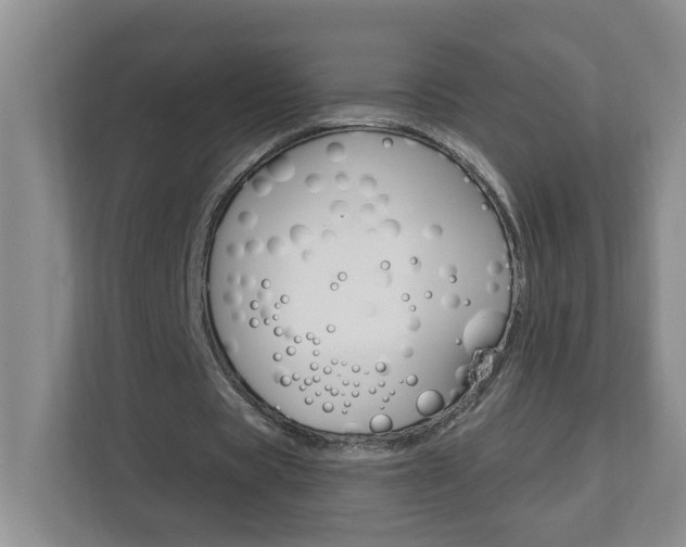 X0000112840529200908211000