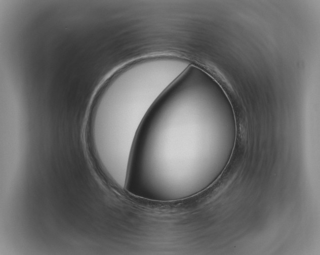 X0000112840532200908211001