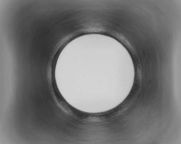 X0000112840534200908211001