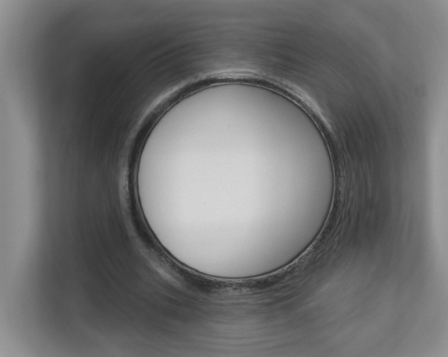 X0000112840535200908211001