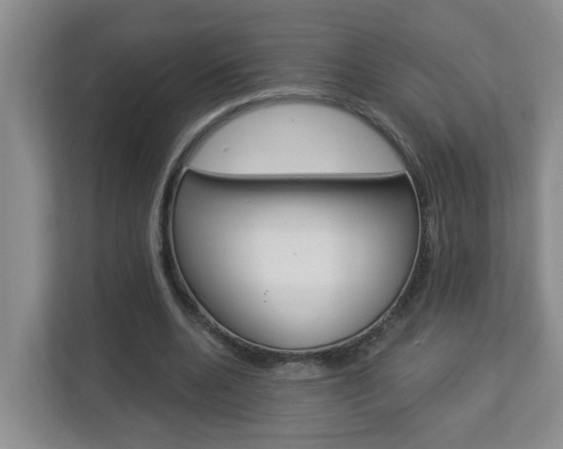 X0000112840536200908211001