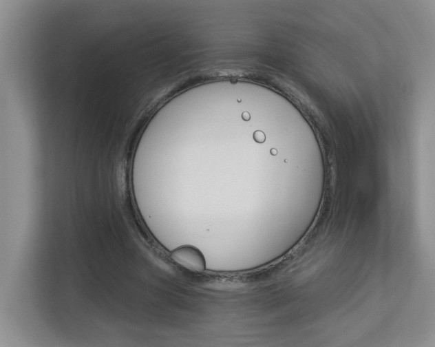 X0000112840537200908211001