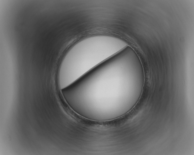 X0000112840538200908211001