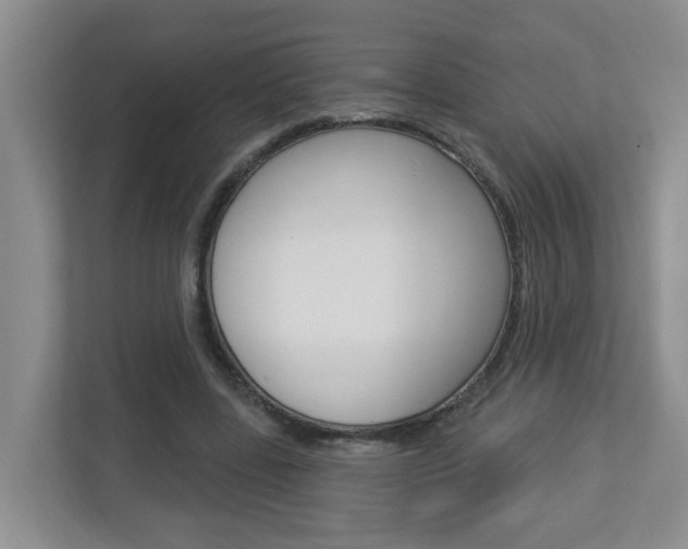 X0000112840539200908211001