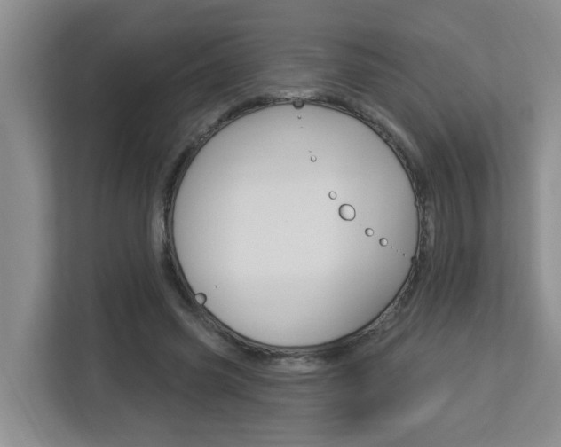X0000112840541200908211001