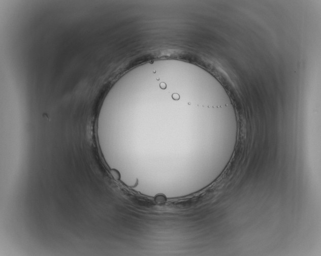 X0000112840545200908211001