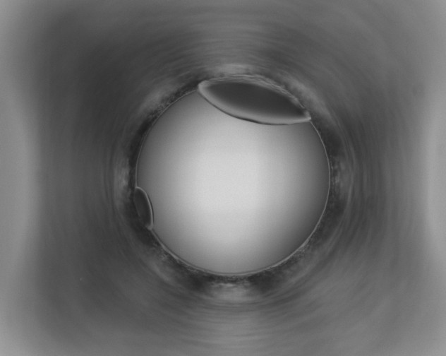X0000112840548200908211001