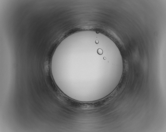 X0000112840549200908211001