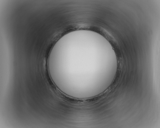 X0000112840550200908211001
