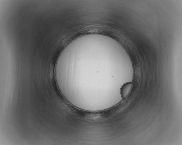 X0000112840554200908211001