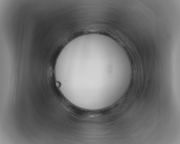 X0000112840555200908211001