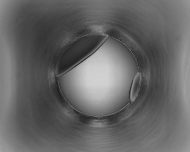 X0000112840556200908211001
