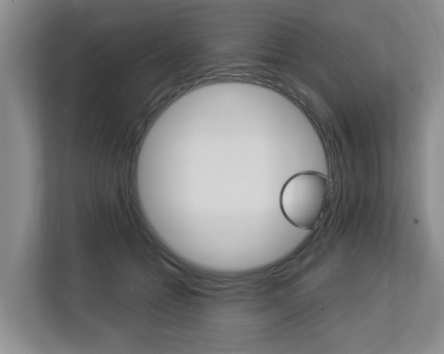 X0000112840558200908211001