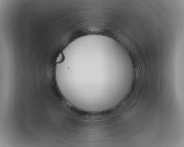 X0000112840559200908211001