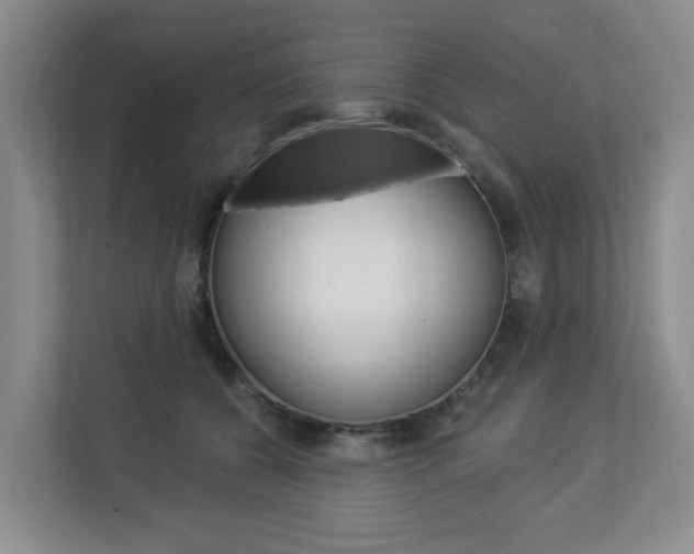 X0000112840560200908211001