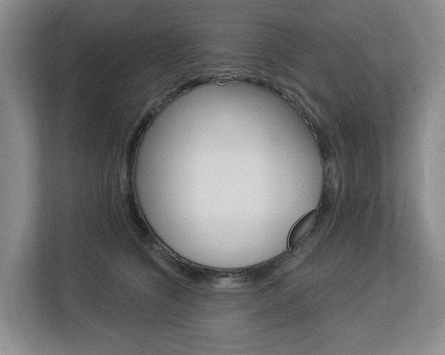X0000112840564200908211001