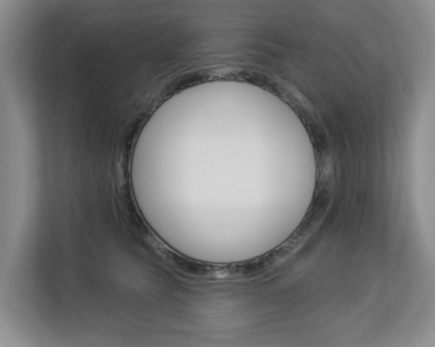 X0000112840565200908211001