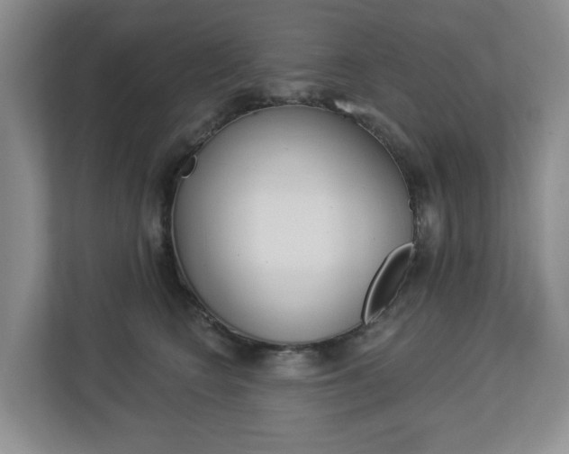X0000112840566200908211001