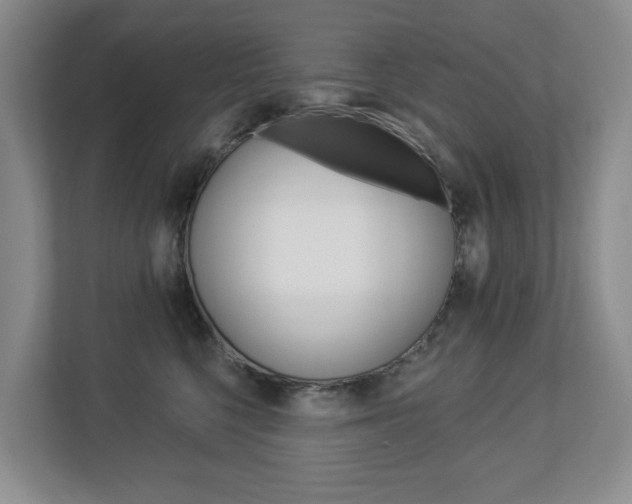 X0000112840568200908211001
