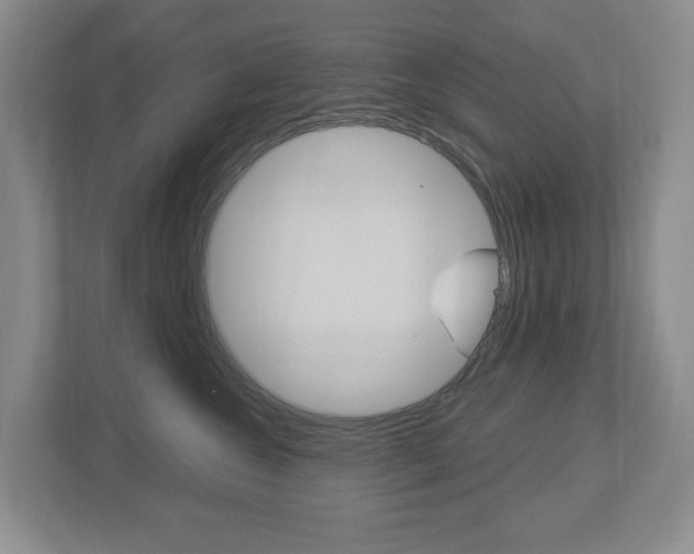 X0000112840572200908211001