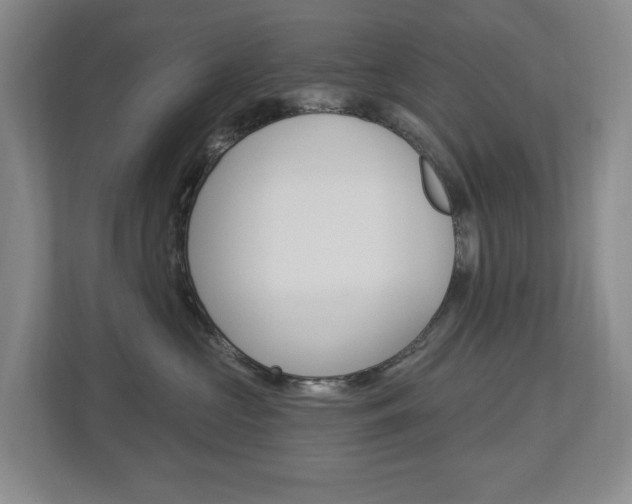 X0000112840573200908211001