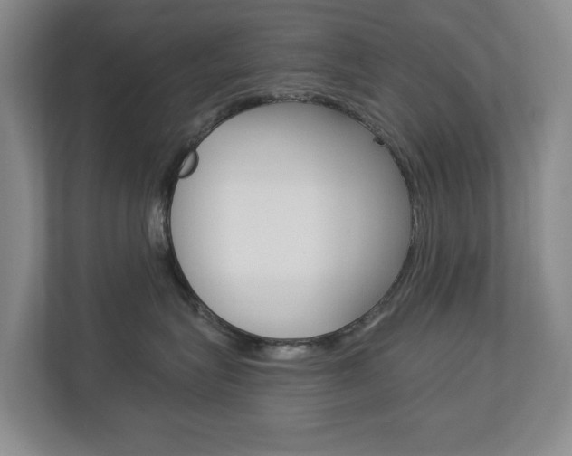 X0000112840575200908211001