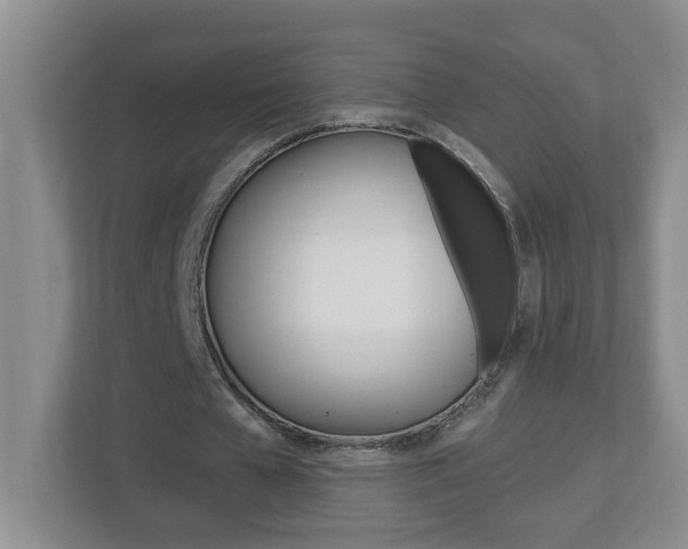 X0000112840577200908211000