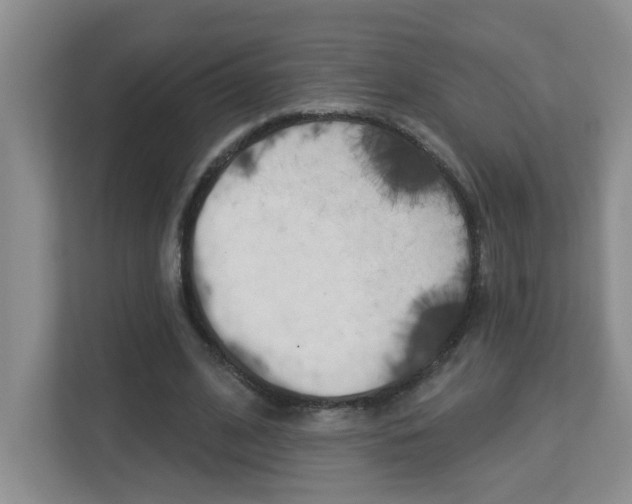 X0000112840584200908211000