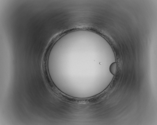 X0000112840587200908211000