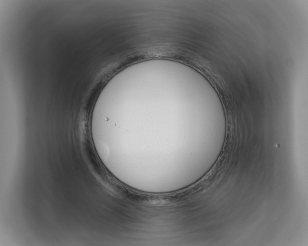 X0000112840590200908211000