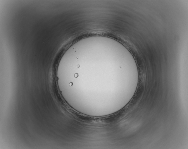 X0000112840591200908211000